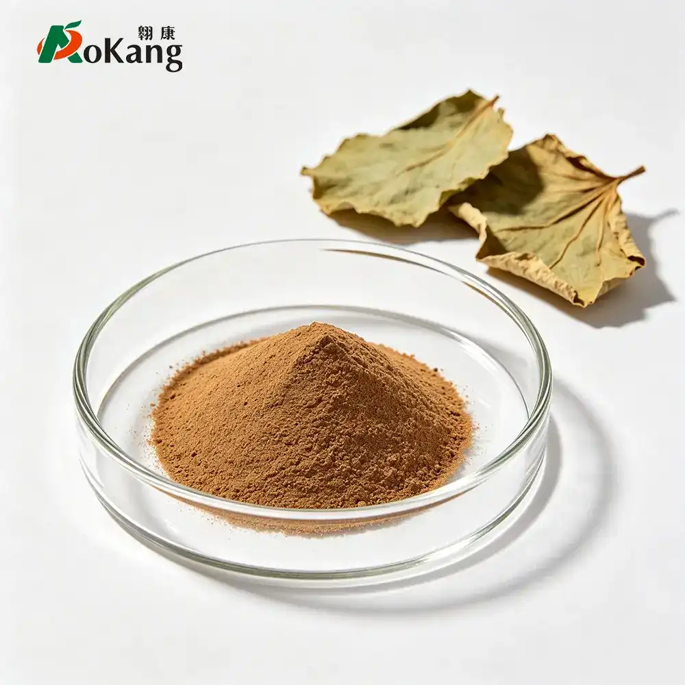 Lotus Leaf Extract Powder